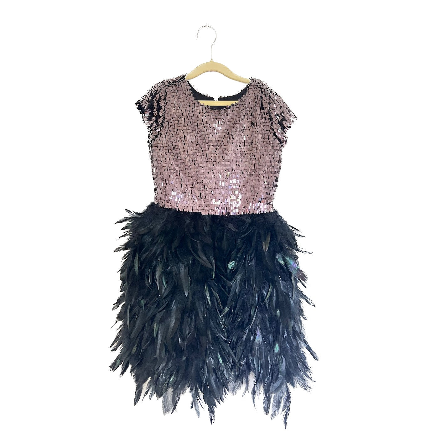 Chasing Fireflies Sequins & Feathers Dress