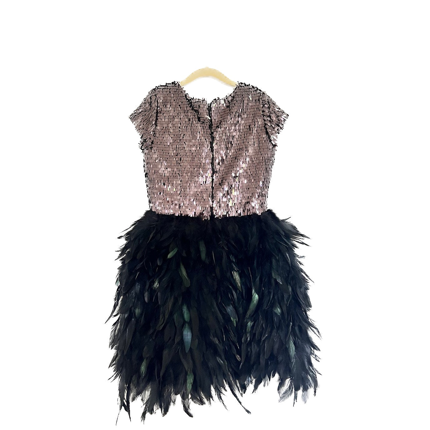 Chasing Fireflies Sequins & Feathers Dress